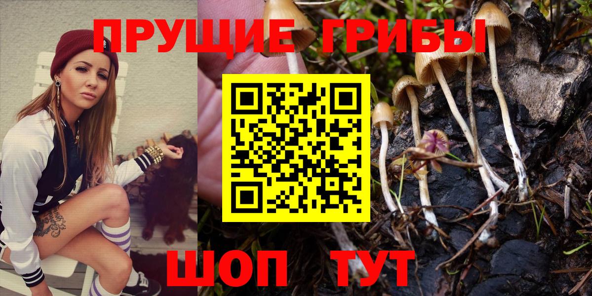 Псилоцибиновые грибы ЛСД Белгород