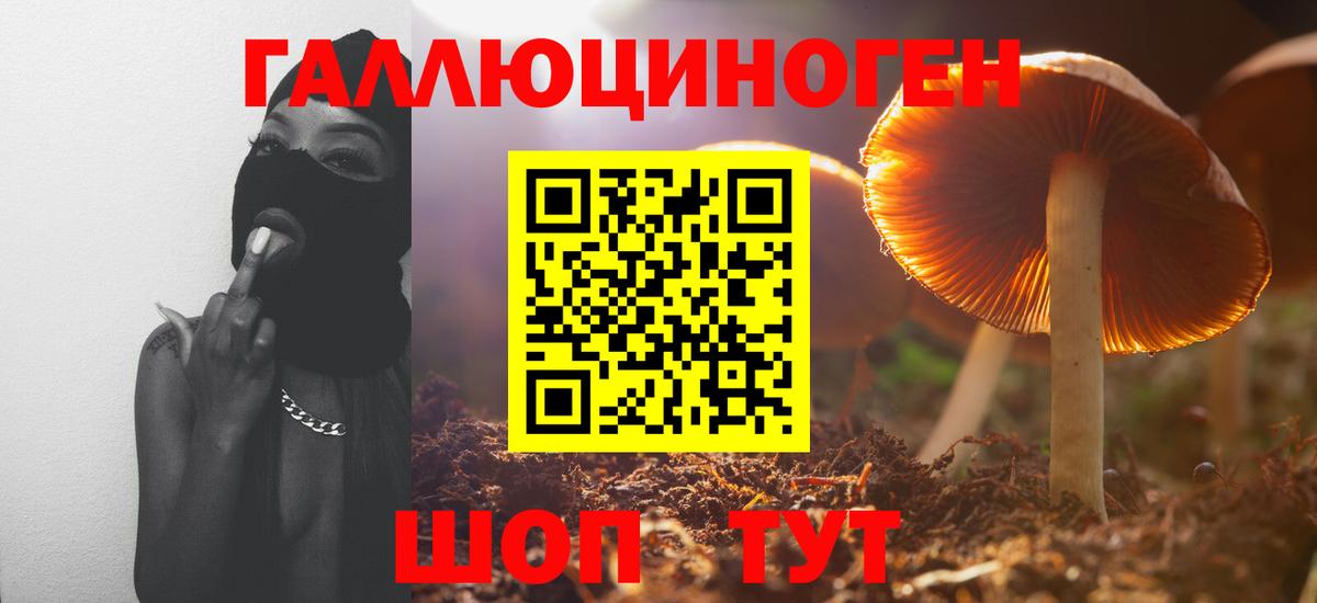 Галлюциногенные грибы MAGIC MUSHROOMS  Вход с VPN  Белгород  Галлюциногенные грибы прущие грибы 