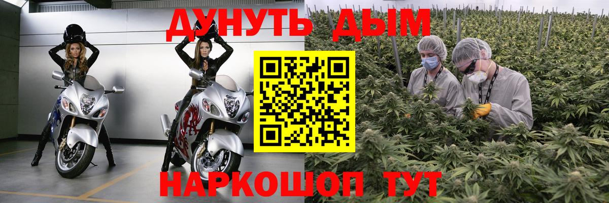МАРИХУАНА план  Каннабис конопля  Вход с VPN  Белгород  Бошки Шишки гибрид  Бошки Шишки планчик 
